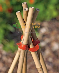Eco2go Vietnam – Piquets en bambou 100 % naturel, design moderne et épuré, pour soutenir les semis, plantes en pot, fleurs et désherbage - Product Image 6