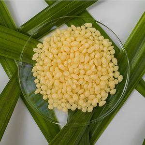 Cire de Candelilla de Qualité Cosmétique pour Produits de Soin de la Peau – Fournisseur et Exportateur en Gros d'Inde, Vente en Gros - Product Image 1