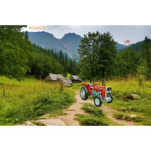 Tracteur Massey Ferguson de qualité exportatrice MF 240 2WD 50 HP adapté au travail du sol et au transport léger pour ferme mécanisée à petit budget - Product Image 2
