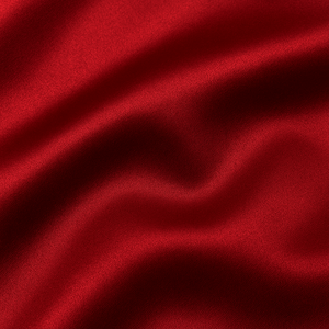 แจ็คเก็ตวาร์ซิตี้ฤดูหนาวแบบกำหนดเองขายส่ง |   ผ้าซาตินคุณภาพสูงมันวาว |   บริการ OEM แบรนด์ส่วนตัว พร้อมโลโก้ด้านหน้า - Product Image 5