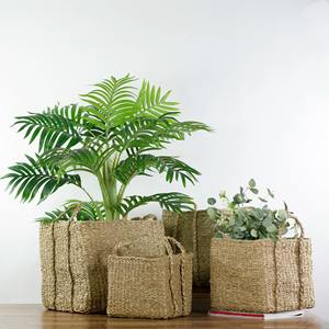 Juego de 4 cestas cuadradas rústicas beige para mesa y suelo, cestas de almacenamiento hechas a mano, venta al por mayor, ecológicas, hechas en Vietnam - Product Image 3