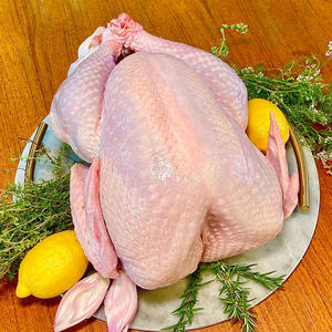 Pavo Entero Congelado de Calidad de Exportación a Precio Accesible, Pavo Entero Fresco Disponible en Todo el Mundo - Product Image 3