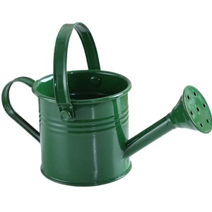 Modern Style Superior Quality Water Storage Household Metal Watering Can Green Finished For Home & Hotel <b>Garden</b> Daily Used - Product Image 1