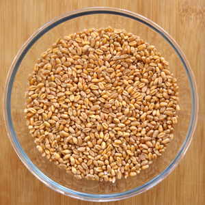 Grano de Trigo Agrícola de Alta Calidad Empacado para Importación a Granel Mediante una Limpieza Cuidadosa, Almacenamiento Seguro y Soporte del Proveedor - Product Image 6