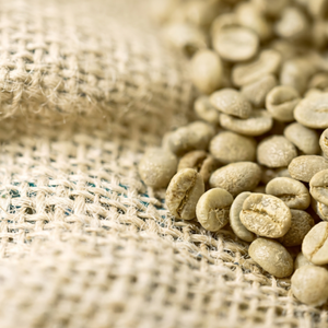 Sustainable Vietnamese <b>Robusta</b> <b>Coffee</b> <b>Beans</b> | Authentic Export-Grade Bulk Supply | Natural Unroasted Seeds | OEM/ODM - Product Image 6