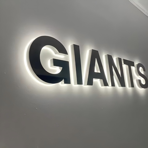 Insegna LED Personalizzata <span class=keywords><strong>in</strong></span> Acciaio Inox, Logo 3D Tagliato al Laser, Decorazione Murale Esterna, Lettere LED Impermeabili - Product Image 2