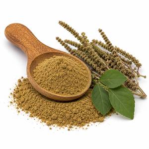 Extracto de Achyranthes Aspera en Polvo a Granel de Fábrica, Extracto Herbal Estandarizado para Formulaciones Ayurvédicas OEM ODM - Product Image 3