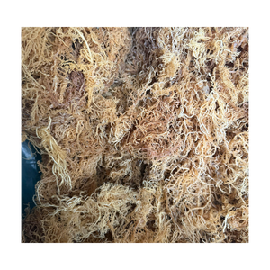 Natural Eucheuma Cottonii Dried <b>Seaweed</b> Food Industry Material For International Wholesale Export Market - Product Image 6