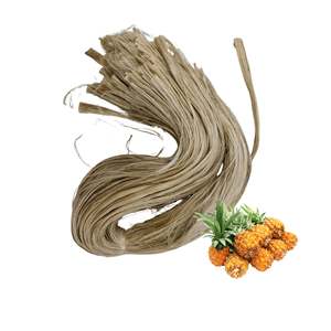 Factory In Vietnam Competitive Price Premium Quality Best Selling Raw <b>Pineapple</b> Leaf Fiber Bulk Supply - Product Image 1
