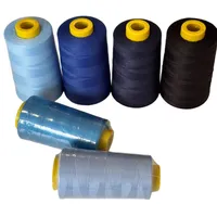 Hilo de Coser 100% Poliéster Hilado 40/2 42/2 para Overlock, Puntada de Cadena, Punto de Cruz, Bordado, Colores Personalizados, Suministro de Fábrica