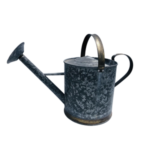 High Quality Eco-Friendly Green Galvanized Steel 8L Watering Can Metal Garden <b>Planter</b> Decorative Flower Pitcher Home Outdoor Use - Product Image 6