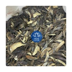 Coquille d'opercule de Murex écologique, très demandée |   Escargot de mer cru 100% naturel |   BLUE LOTUS FARM Lot en vrac rond - Product Image 1