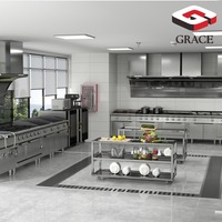 Équipement de cuisine complet pour restaurant GRACE avec cuisinières à gaz et électriques, friteuses, fours, cuiseurs vapeur et aménagement de cuisine personnalisé