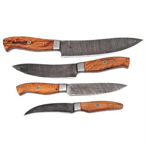 Couteaux de chef en acier Damas faits à la main, 4 pièces, avec manche personnalisé, bord dentelé tranchant, multi-usages, écologiques - Product Image 1
