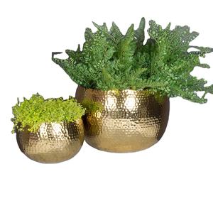 Elegante Jarrón Decorativo de Metal Color Dorado con Acabado Martillado para Interiores, para Hogares Modernos, Decoración de Hoteles y Restaurantes - Product Image 1