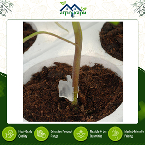 Clips de injerto de silicona transparente extra suave de alta resistencia para plantación de vegetales, calidad estándar para productos agrícolas - Product Image 3