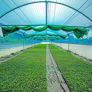 Shade nursery net Grass <b>Green</b> Agricultural <b>Netting</b> for Greenhouse Protection and Plant Covering - Product Image 5