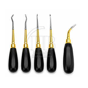 Ensemble d'élévateurs dentaires manuels en acier inoxydable, instruments dentaires réutilisables, poignée confortable, design raffiné - Product Image 2