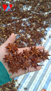 Vietnam Dried Cassia Cinnamon Star <b>Anise</b> Whole Spice Raw Eight Angle Essential <b>Oil</b> Strong Flavor for Cooking Seasoning-Ms - Product Image 4