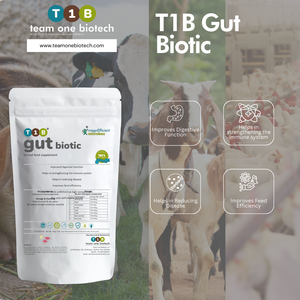 Aditivos alimentarios probióticos para una nutrición óptima de las cabras - Product Image 4