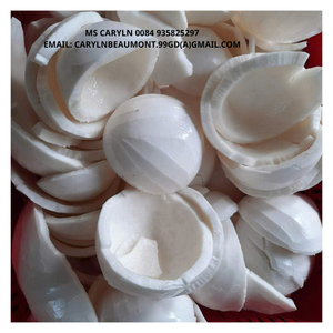 Viande de noix de coco congelée, douce et tendre, avec un arôme authentique, le meilleur choix pour les garnitures de desserts, les sauces à la noix de coco et les collations biologiques - CARYLN - Product Image 6