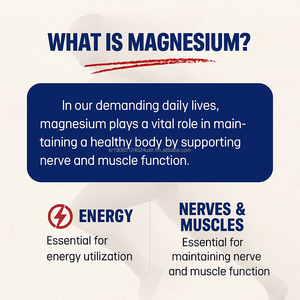 OEM Corée 90 Comprimés de magnésium 250mg Supplément minéral de soutien musculaire et nerveux pour hommes, 1 comprimé par jour - Product Image 4