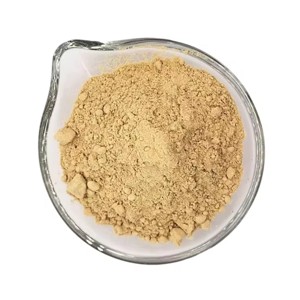 High Quality Food Grade Costus Root Powder 100% Pure & Natural Saussurea Costus Powder <b>for</b> Tea Blends & Nutritional Drinks - Product Image 3
