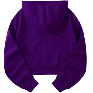 High Quality Wholesale Custom Logo Blank <b>Hoodies</b> Private Label Manufacturer OEM ODM <b>Plain</b> <b>Hoodies</b> 100% Cotton Fleece Sweatshirt - Product Image 3