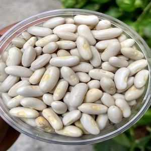 Meilleures Haricots Rouges de Qualité Supérieure en Gros, Vente en Vrac, Qualité Alimentaire, Prêts à Expédier, Approvisionnement Export - Product Image 3