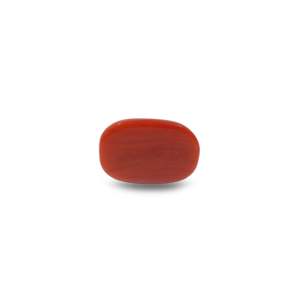 Natural Red Coral Oval Cabochon Loose Gemstone 10.55 Carat Certified Wholesale - Product Image 2