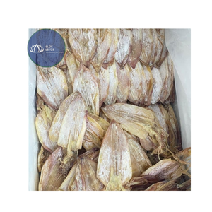 Calamars séchés Blue Lotus avec peau, tubes entiers de 20-22 cm, surgelés en couches, emballage sous vide, 25 kg, lavables en machine, fruits de mer, normes UE - Product Image 1