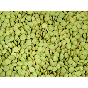 Lentilles vertes en vrac de qualité supérieure pour les fabricants alimentaires commerciaux et la distribution en gros - MOQ accepté - Product Image 4