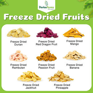 Premium Vietnam Freeze Dried <b>Pineapple</b> Slices 100% Natural Crunchy Fruit Snacks No Added Sugar BRCGS ISO Certified Bulk - Product Image 5