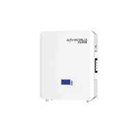 Sistem Penyimpanan Energi Rumah Terpasang di Dinding Rayworld 25.6V 100AH 2.56kWh dengan Inverter Surya dan LiFePO4