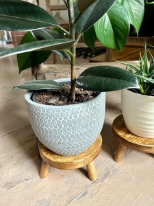 Support de plantes en bois naturel de luxe, pour l'intérieur et l'extérieur, porte-pot de fleurs décoratif - Product Image 3