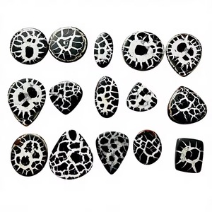 Cabujón de Septariana Negra Natural con Patrón de Telaraña, Varias Formas, para Joyería - Product Image 2