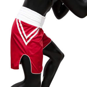 Vêtements d'arts martiaux de combat, shorts de Muay Thai MMA Boxe, imprimés personnalisés sur le devant, séchage rapide, respirants, unisexes, 100% coton - Product Image 3