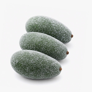 Avocat Entier Congelé de Qualité Supérieure du Vietnam, Prix Imbattable, Vente Chaude, Emballage Personnalisé - Product Image 1