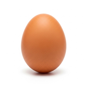 Huevos Frescos de Gallina Blancos y Marrones de Granja, con Cáscara Natural, para Exportación a Granel, Empacados en Cajas Resistentes para Importadores y Compradores - Product Image 3