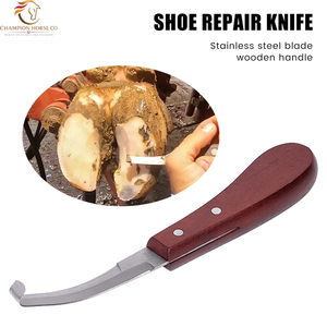 มีดตัดกีบวัว มีดตรง ด้ามไม้ เครื่องตัดกีบม้า แพะ แกะ - Product Image 3