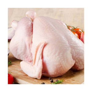 Frozen Whole <b>Chicken</b> Premium Wholesale Supply Bulk Packaging for Global Importers - Product Image 5