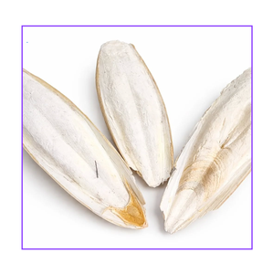 Seiche séchée entière 20-40cm, haute teneur en protéines, fruits de mer en vrac, qualité supérieure, origine Vietnam Ba Ria-Vung Tau, riches en vitamines, durée de conservation 2 ans, 99GD - Product Image 1