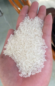ข้าวหอมมะลิเวียดนาม เมล็ดสั้น ขาว เกรด 5% ข้าวหัก ข้าวขัดเงา ข้าวซอร์เท็กซ์ ข้าวทำความสะอาดแล้ว ไม่ใช่พืช GMO แบรนด์ IIglobal คุณภาพดี ราคาแข่งขันได้ - Product Image 6