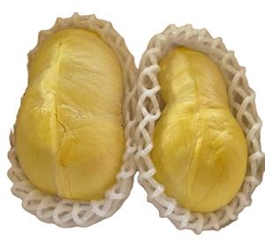 Durian frais du Vietnam: meilleure qualité, meilleur prix - Product Image 1