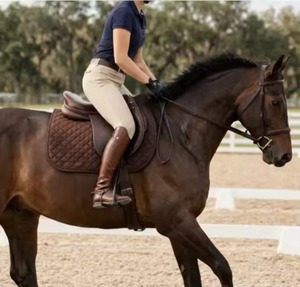 Customized <b>Top</b>-Quality Horse Ridding 100% Cotton Satin Saddle Pads Foam Saddle Pads for Horse Riding - Product Image 2