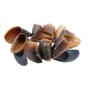 Juguete Masticable para Perros de Cuerno de Búfalo Natural de Alta Calidad, Ecológico, Diseño Innovador, Cubo de la India, Juguetes Promocionales - Product Image 3