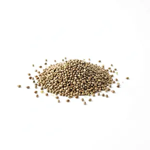 Huile de graines de chanvre pressée à froid, huile végétale pure pour massage, soins de la peau et des cheveux - 100% pure - Product Image 2