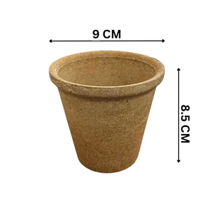 Gobelets jetables biodégradables 250 ml (8,5 oz) écologiques, compostables, sans plastique, pour boissons chaudes et froides - Product Image 6