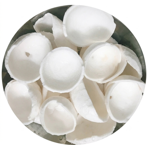 Morceaux de noix de coco blanche surgelée de qualité supérieure pour les repas végétaliens et les desserts tropicaux - Product Image 6