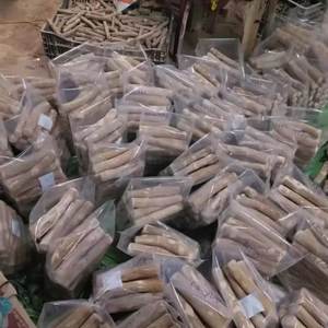 Bâtonnets à mâcher pour chien en bois de café naturel 2025 en gros, jouet écologique pour animaux de compagnie pour usage intérieur/extérieur, meilleur fournisseur d'articles pour animaux de compagnie, emballé en cartons - Product Image 6